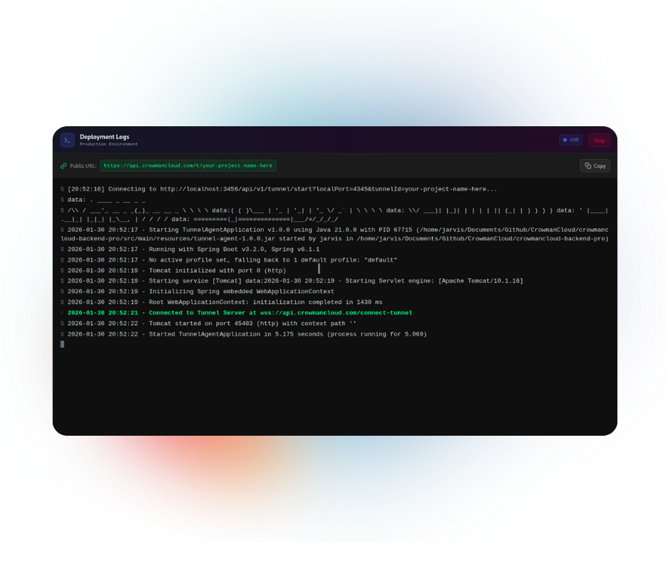 Real-time Deployment Logs